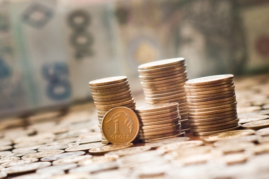 Sprawdź ile warta jest twoja pensja w groszach? | ZŁOM INFO PL